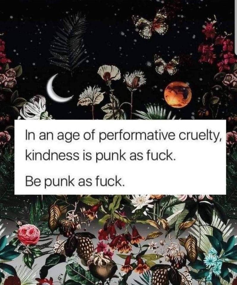 This meme is a humorous take on the idea of being kind and compassionate, but with a sarcastic and irreverent tone. The text in the image reads: "In an age of performative cruelty, kindness is punk as f***. Be punk as f***." The meme is poking fun at the idea that being kind and compassionate is now seen as a rebellious or counter-culture act, rather than a traditional or mainstream one.